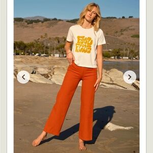 Mollusk Surfshop Painter Pants